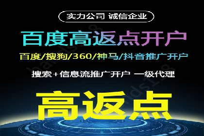 成功SEM竞价托管案例分析报告
